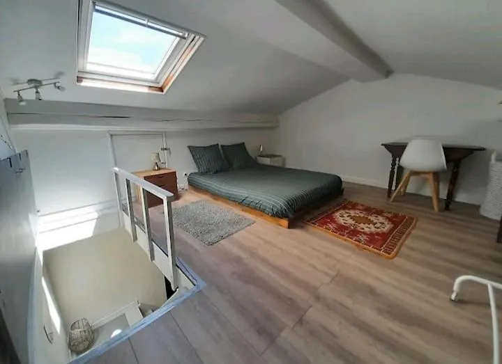 Villa Toulousaine Avec Jardin Proche Centre Wifi Tolosa Francia